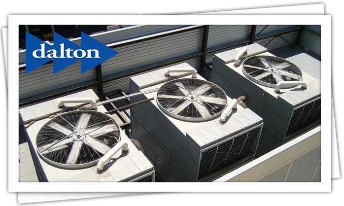 Dalton Plumbing, Heating, Cooling, Electric and Fireplaces, Inc — Commercial Heating