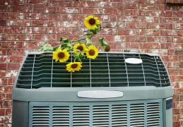 air-conditioner-with-flowers-resting-on-it